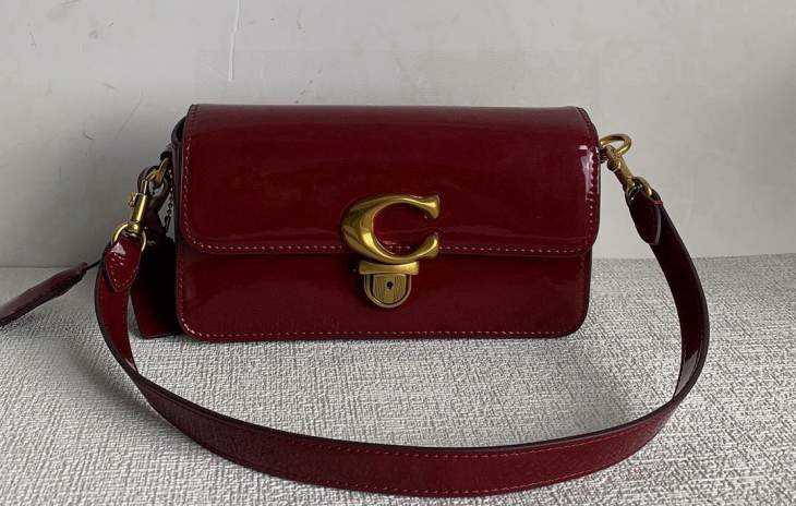 Picture of Coach Handbags _SKUfw242731793fw